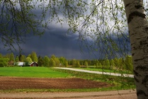 Pellot saavat pian kastelua